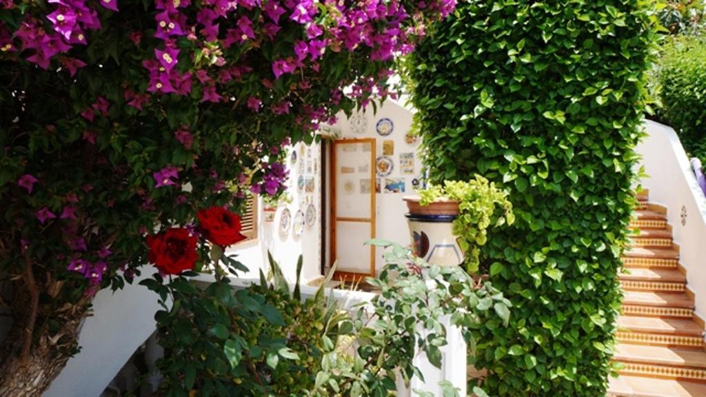 Patio Andaluz Leilighet Denia Eksteriør bilde